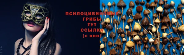молекула духа Осинники