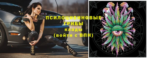 спайс Алзамай