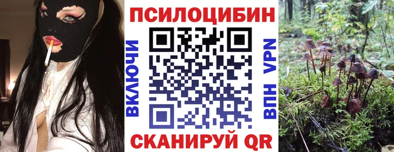 Псилоцибиновые грибы Psilocybe  это клад  Петровск 