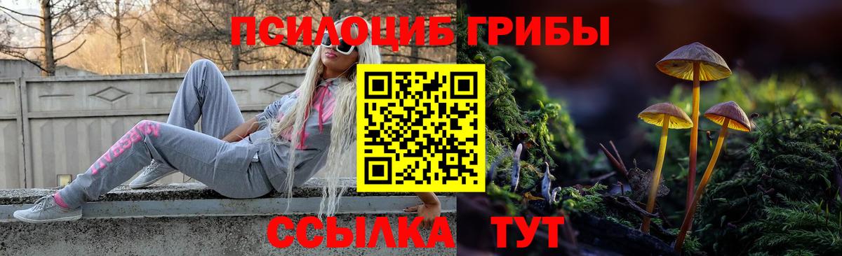 Галлюциногенные грибы Psilocybine cubensis  Вход с VPN  Петровск  Галлюциногенные грибы Cubensis 